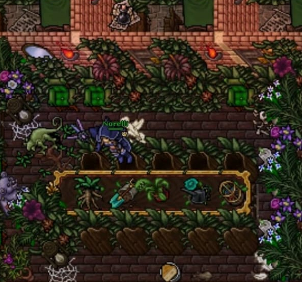 As aventuras de um decorador: Furyosa • Tibia Home