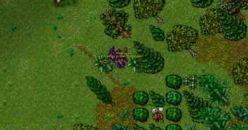 Are there any references to TibiaME in Tibia?